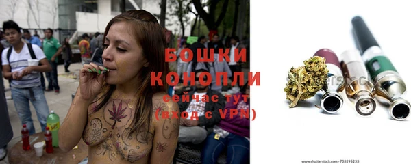 метадон Богданович