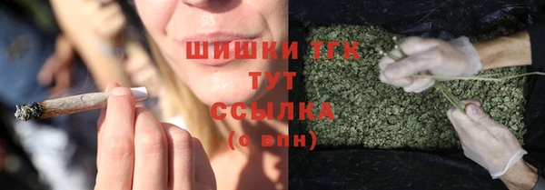 МДПВ Богородицк
