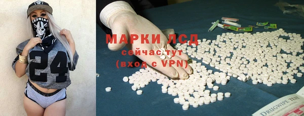 метадон Богданович