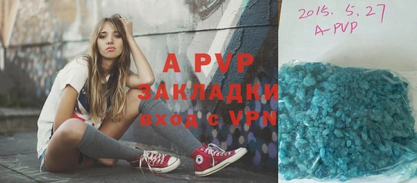 метадон Богданович
