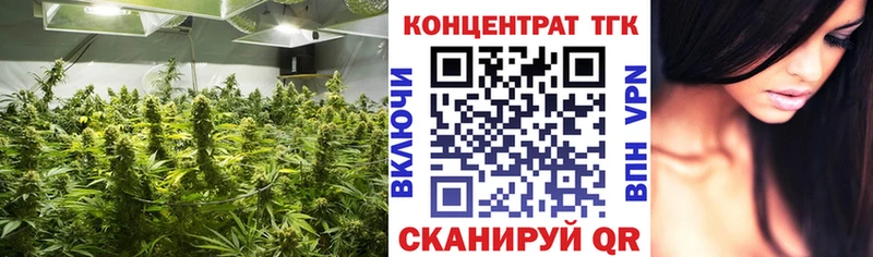 Купить  Анадырь  ТГК Wax 